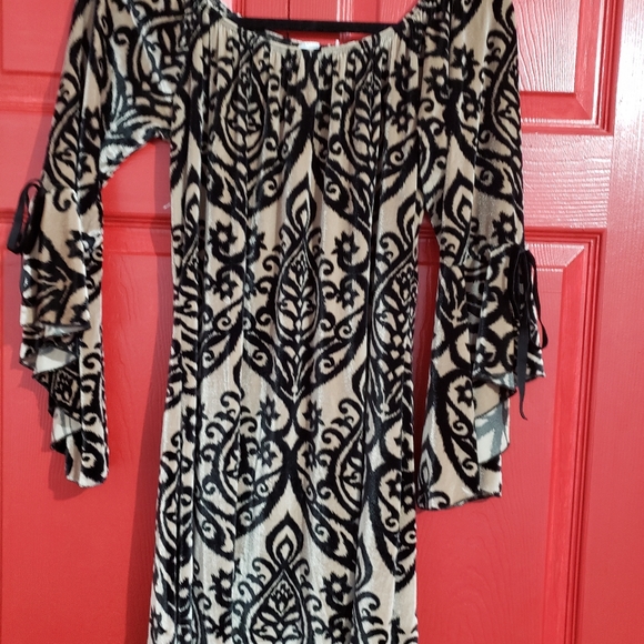 Dress - Picture 2 of 3